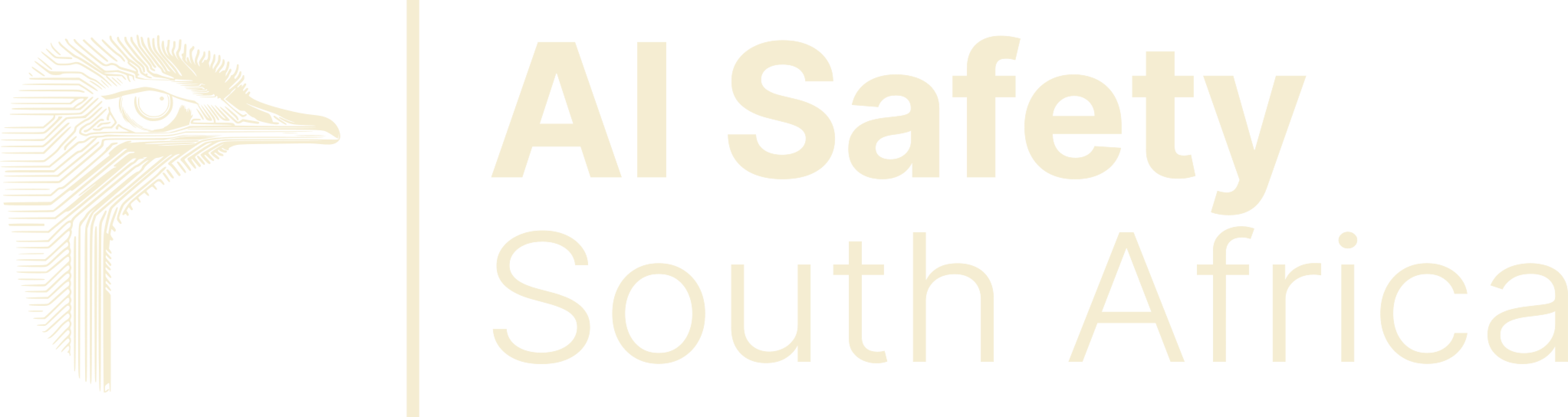 AI Safety South Africa